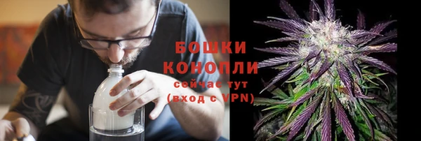 сатива Баксан