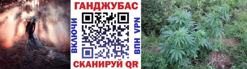 Шишки марихуана планчик  blacksprut ССЫЛКА  Бахчисарай 